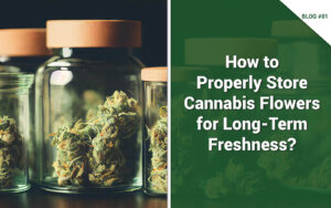 How to Properly Store Cannabis Flowers for Long-Term Freshness blog 1