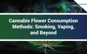 Cannabis Flower Consumption Methods Smoking, Vaping, and Beyond blog 2