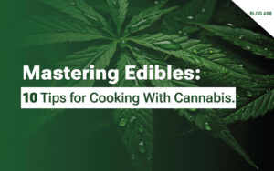 Mastering Edibles 10 Tips for Cooking with Cannabis