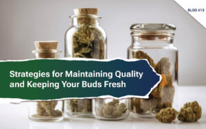Strategies for Maintaining Quality and Keeping Your Buds Fresh